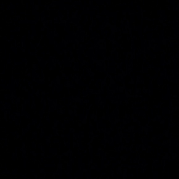 Meet your Posher, Audrey-ann - Picture 1 of 1